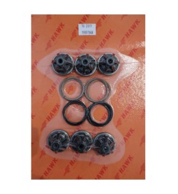 KIT COMPLETO VALVULAS HFR F 1 x 6 PZS